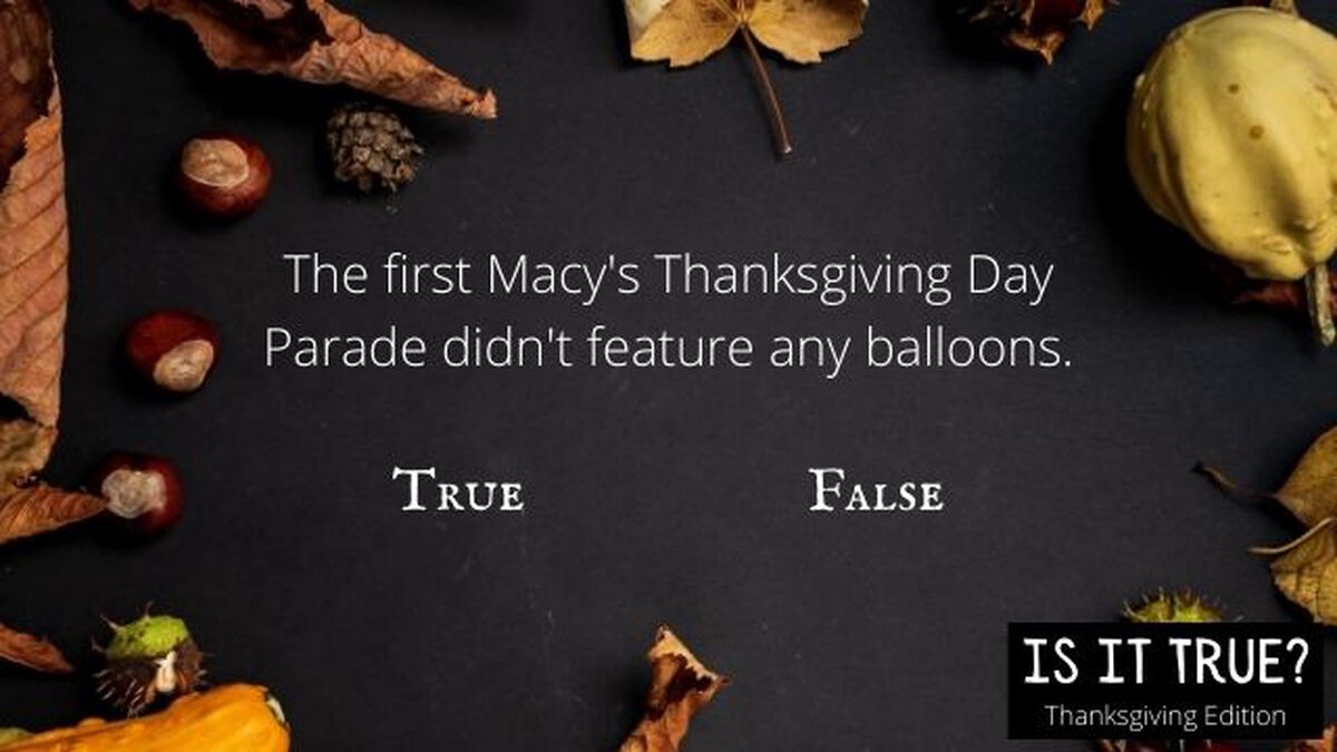 Is It True Thanksgiving Edition image number null